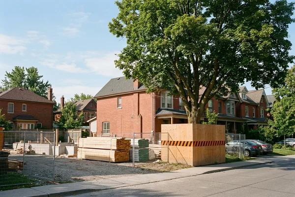 City tree with protection hoarding beside a multiplex site