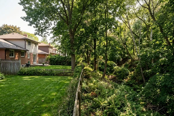 Ravine edge behind a residential lot with mature trees